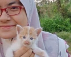 Kucing manja dengan tuannya