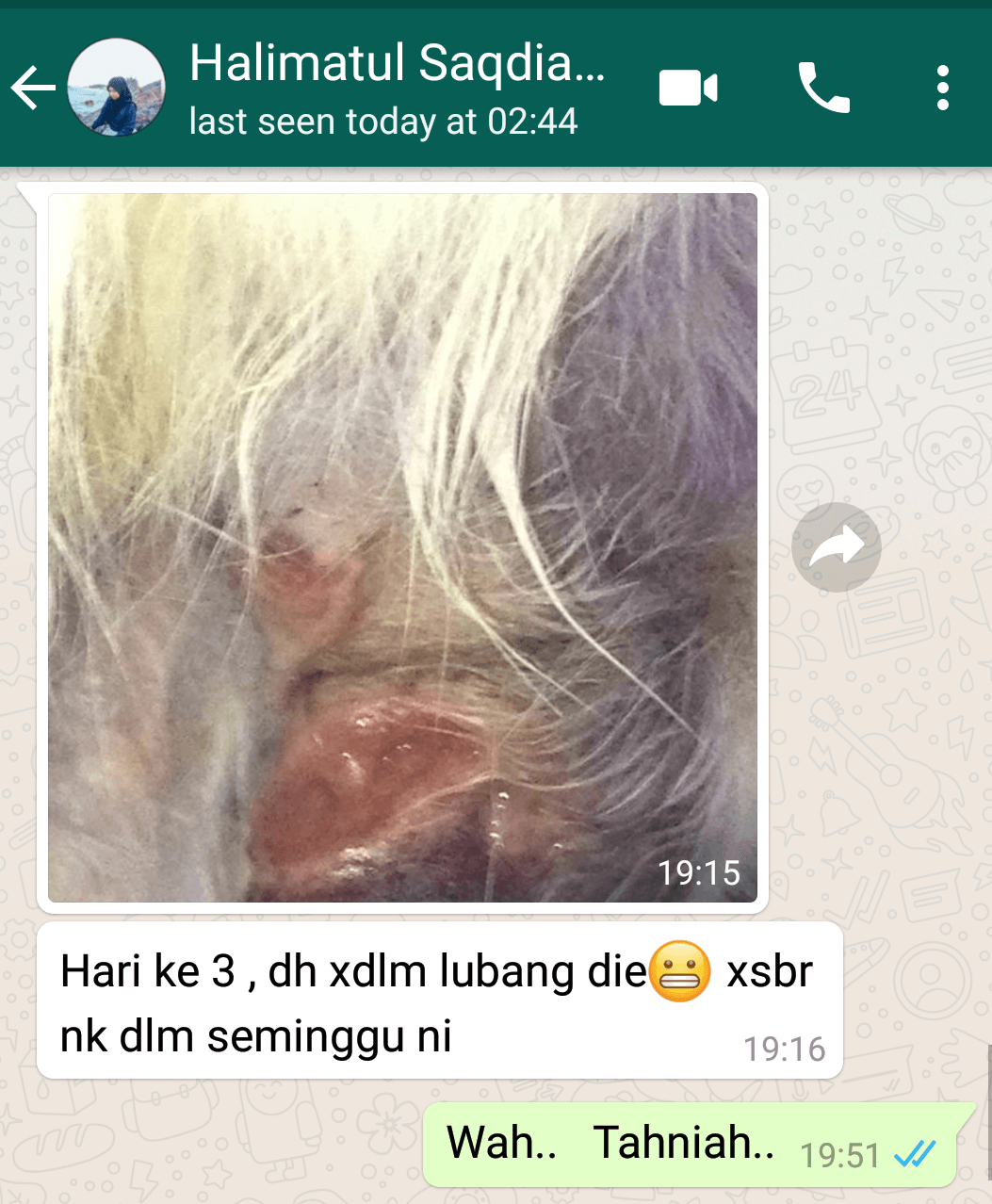 Kucing Sporo Berulat Saqdiah Sembuh  PS Herbs Testimoni