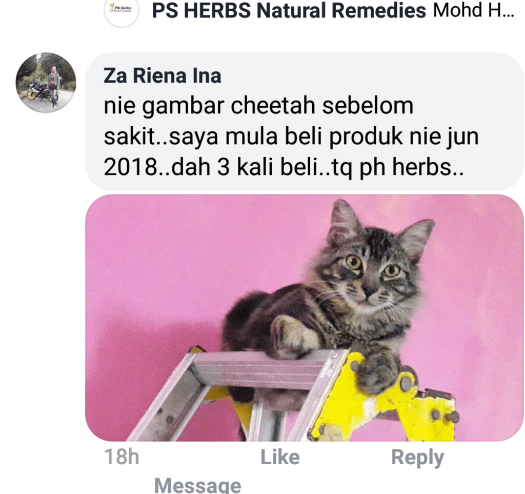 Cheetah sebelum kena sporo