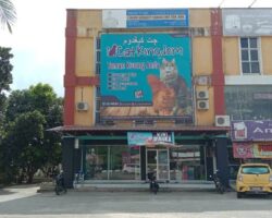 Cat Kingdom PEt house Alor lintang, Besut