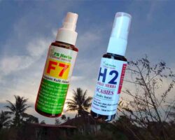 ubat psherbs untuk scabies