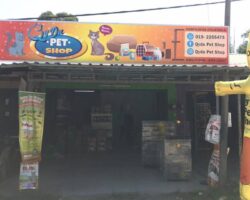 kedai Qyda Petshop Pasir Mas menjual barangan keperluan kucing