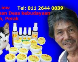 ubat ps herbs di ada dijual di Ipoh. Wakil jualan Liew