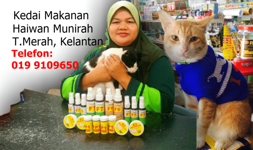 Kelantan Archives u2022 PS Herbs