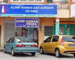 Klinik Haiwan dan Surgery Dr Amal