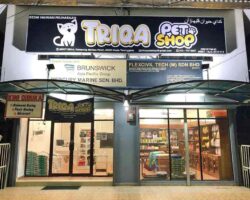 Triqa Pet Shop di Merbau Patah, Kuala Terengganu menjual barang dan keperluan haiwan pet