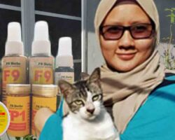 Nur Irdina Binti Aripin, pemilik ARJ Resources