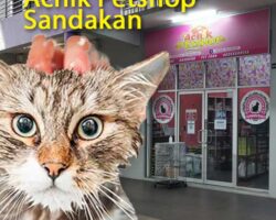 Achik PetShop di Sandakan jual ubat PS Herbs