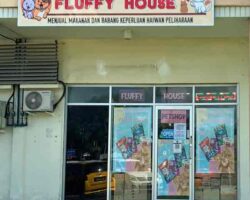 Fluffy house pet shop kuchins