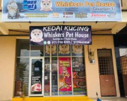 Whiskers pet House, Jerteh Trengganu