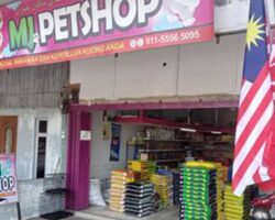 MJ Petshop, Machang