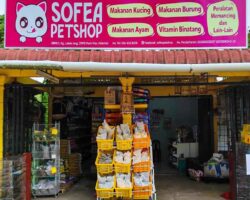 Sofea Petshop di Lubuk Jong, Kelantan