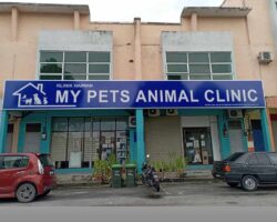 My pets animal clinic, Kulim, Kedah