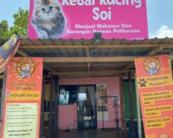 Kedai kucing soi, kuantan pahang