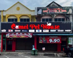 Comel Pet House di Jengka, Pahang